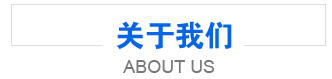 DMAPA作為聚氨酯催化劑的潛在應(yīng)用及反應(yīng)活性研究